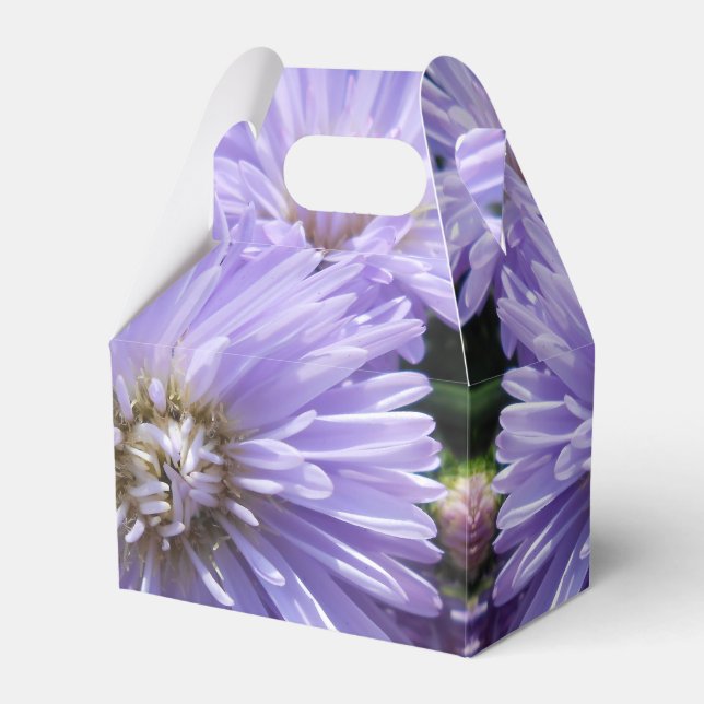 Berlinette Favor Boxes (Front Side)
