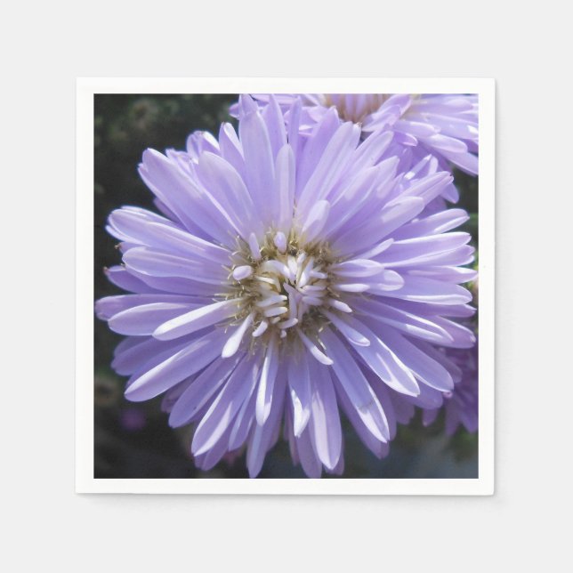 Berlinette Paper Napkins (Front)