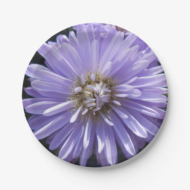 Berlinette Paper Plates (Front)