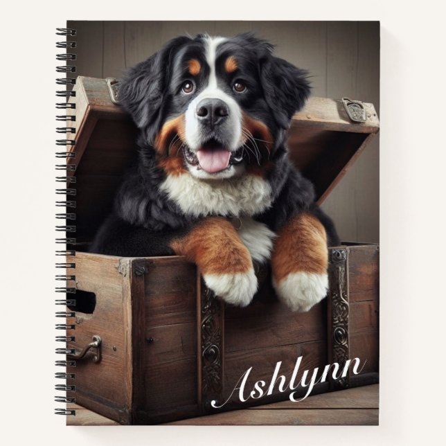 Bermese Mountain Dog in a Vintage Chest  Notebook (Front)