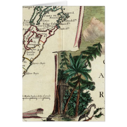 Bermuda Cards (Front)