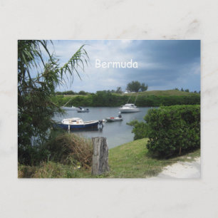 Bermuda Cove Postcard