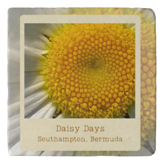 Bermuda Daisy Days Trivet