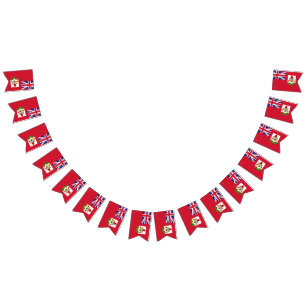 Bermuda flag bunting banner