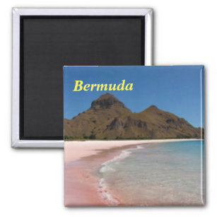 Bermuda Pink Beaches Magnet