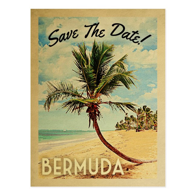 Bermuda Save The Date – Vintage Palm Tree