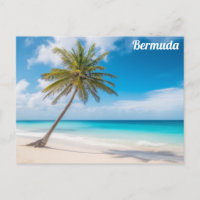 Bermuda Tropical Beach Ocean Palm Tree Travel