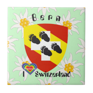 Bern Berne Berna Schweiz Suisse Fliese Tile