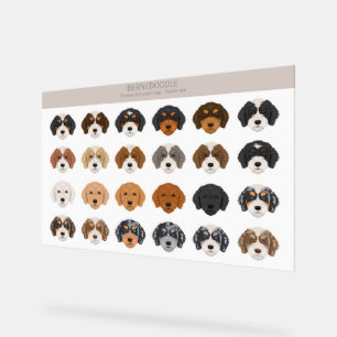 Bernedoodle Acrylic Sign