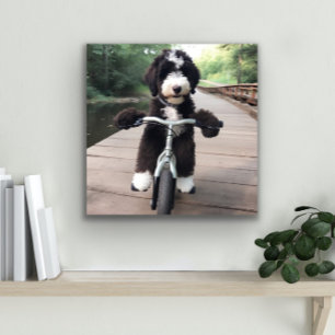 Bernedoodle Bike Rider Metal Wall Decor