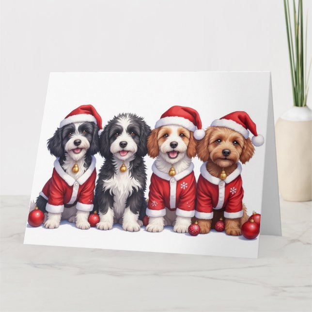 Bernedoodle Christmas Dress Santa Hat Card (Front)