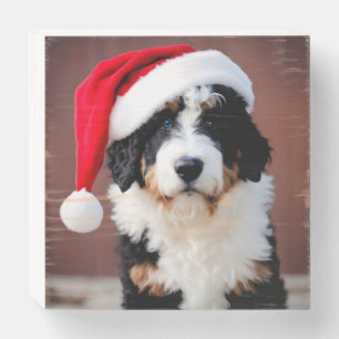 Bernedoodle Christmas Wooden Box Sign