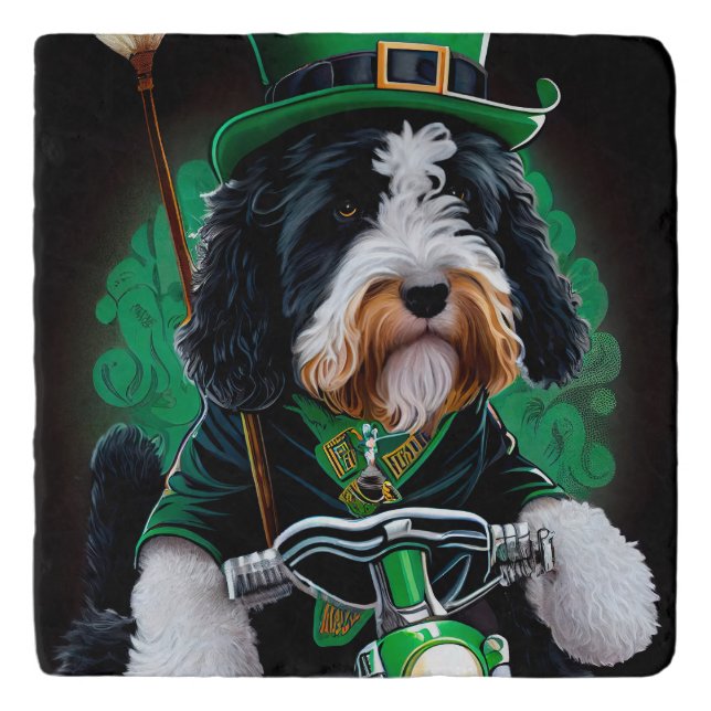 Bernedoodle Dog driving bike St. Patrick's Day Trivet (Front)