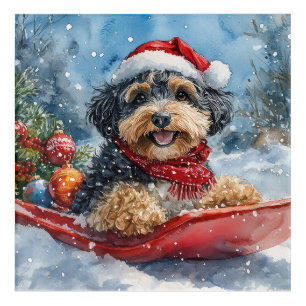Bernedoodle Dog in Sledge Let it Snow Christmas Acrylic Print