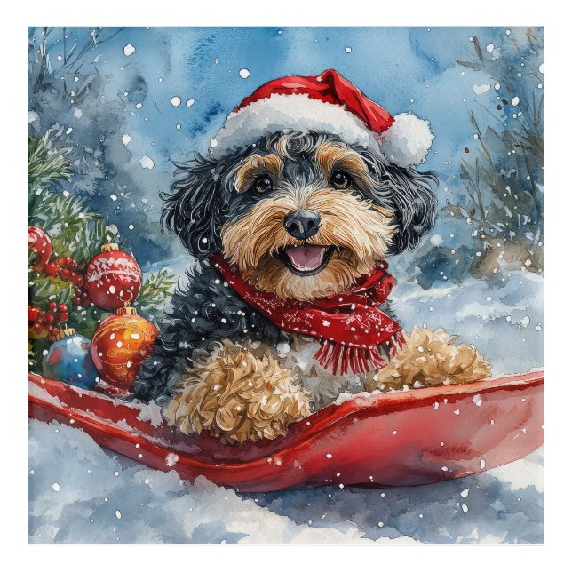 Bernedoodle Dog in Sledge Let it Snow Christmas Acrylic Print (Front)