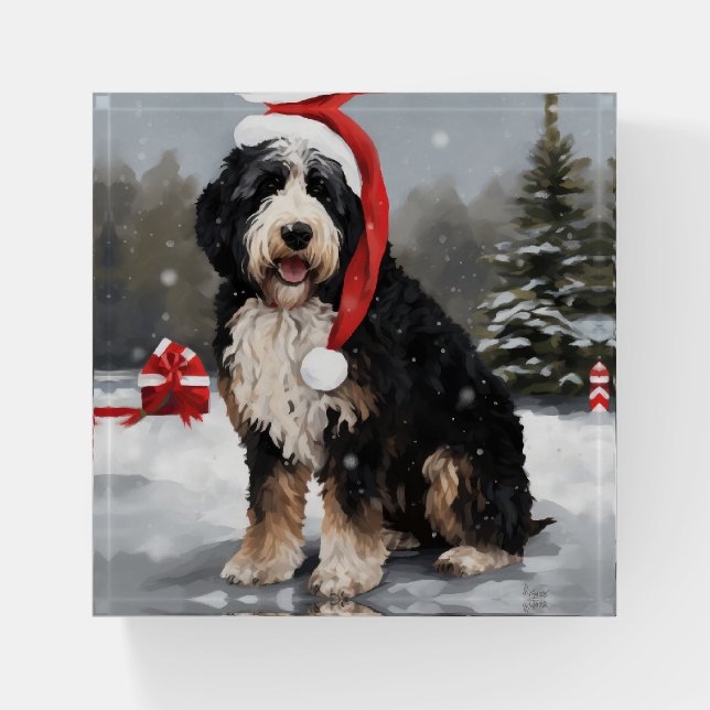 Bernedoodle Dog in Snow Christmas  Paperweight (Front)