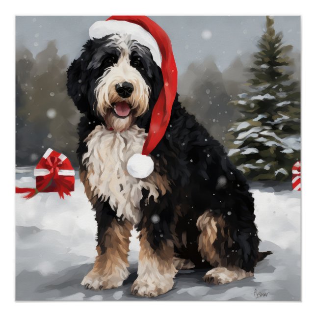 Bernedoodle Dog in Snow Christmas  Poster (Front)