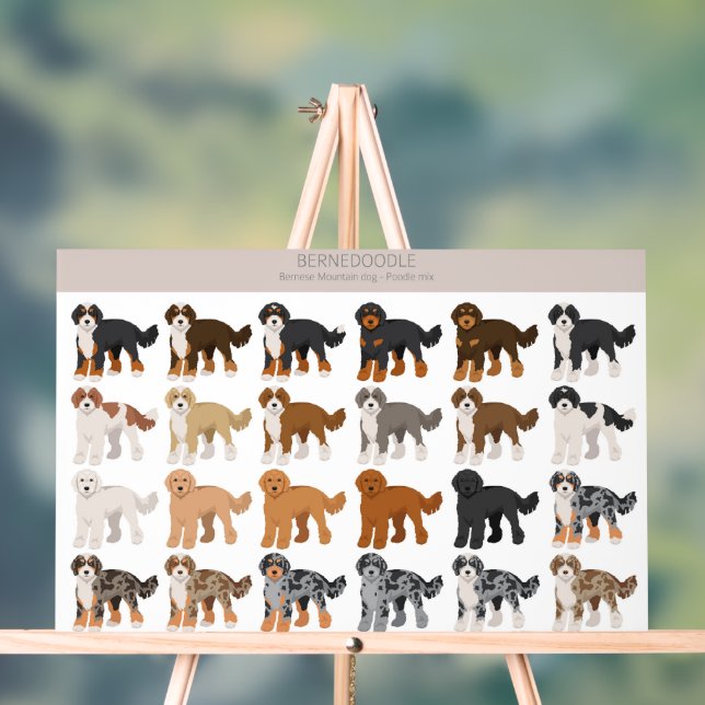 Bernedoodle dog mix acrylic sign (Neutral)