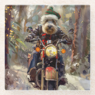 Bernedoodle Dog Riding Motorcycle Christmas  Glass Coaster