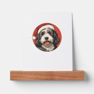 Bernedoodle Dog Xmas Doodle Dood Cute Christmas Be Picture Ledge