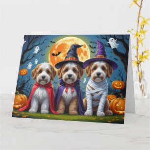 Bernedoodle Dogs Pumpkin Halloween Funny Card