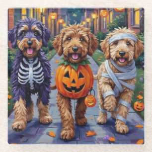 Bernedoodle Dogs Trick-or-Treating in Halloween Co Glass Coaster