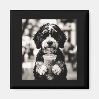 Bernedoodle Iced Coffee Photo Funny Dog Lover Art Magnet