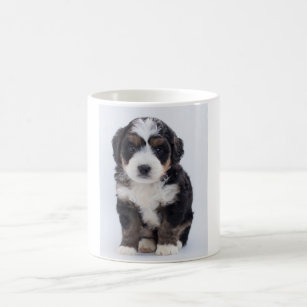 Golden Ceramic Mug with Full-Sized Handle 15-Ounce Tree-Free Greetings sg43990 White Poodle by John W 