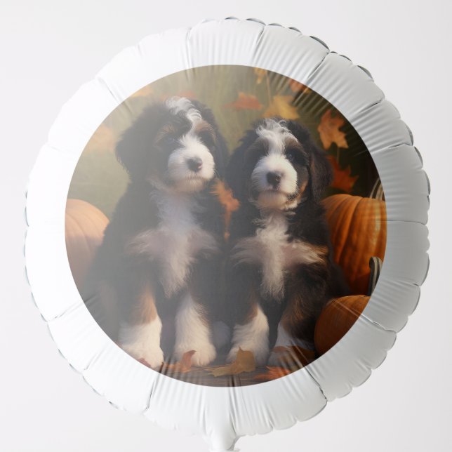 Bernedoodle Puppy Autumn Delight Pumpkin Balloon (Front)