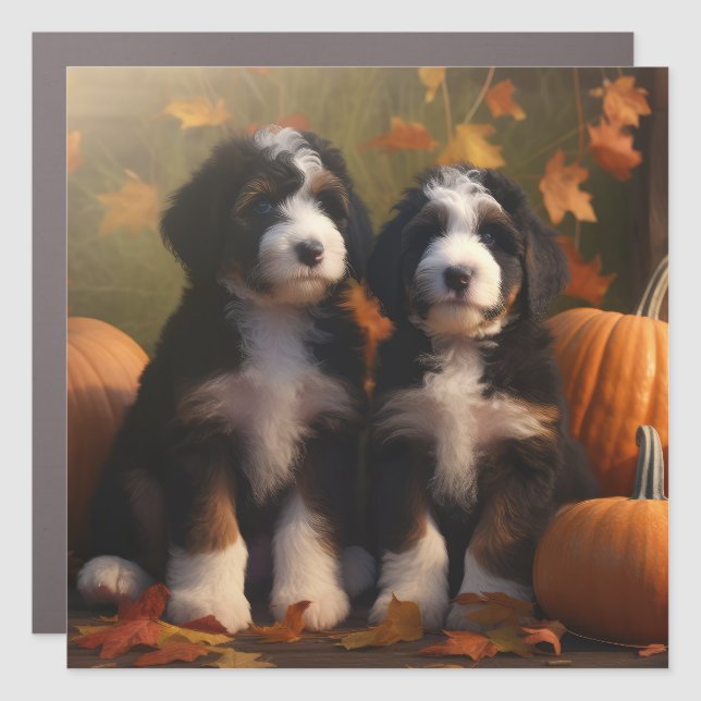 Bernedoodle Puppy Autumn Delight Pumpkin Car Magnet (Front)