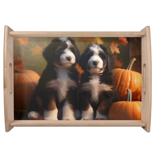 Bernedoodle Puppy Autumn Delight Pumpkin Serving Tray (Front)