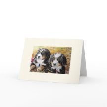 Berner Nation greeting card (blank)