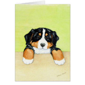 Berner Pup Cards