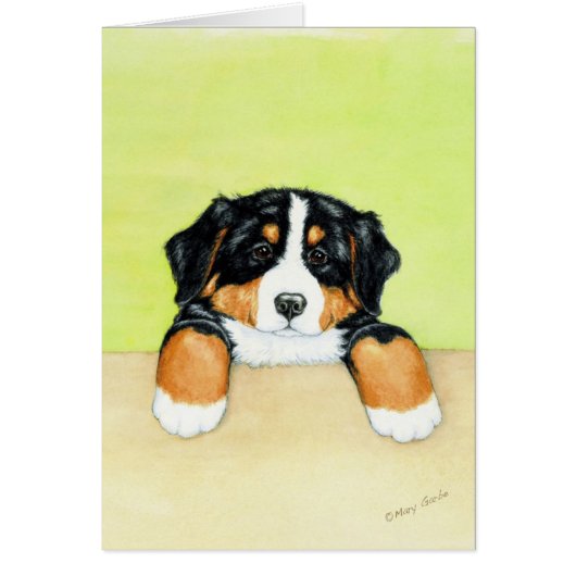 Berner Pup Cards (Front)