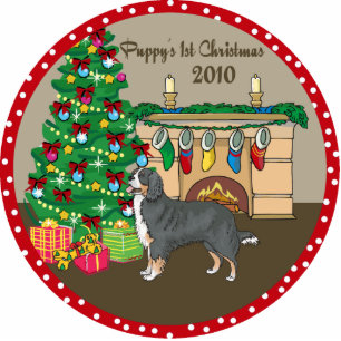 Berner Puppy's 1st Christmas Ornament 2010