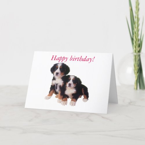 berner sennen pups birthday card