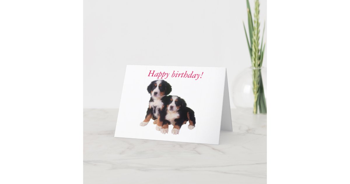 berner pups birthday card Zazzle