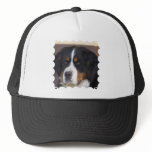 Berner Sennenhund Baseball Hat