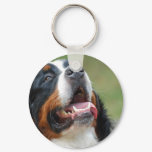 Berner Sennenhund Dog Keychain