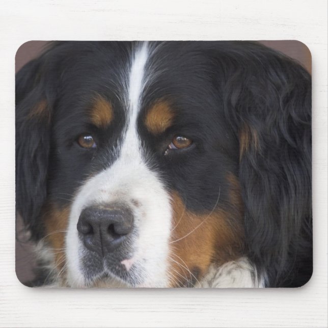 Berner Sennenhund Mouse Pad (Front)