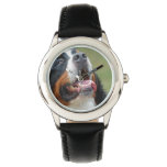 Berner Sennenhund Watch