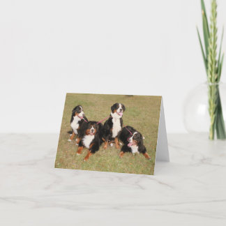 Bernerful Day Note card