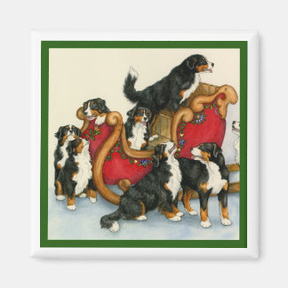 Berners in Sleigh Magnet