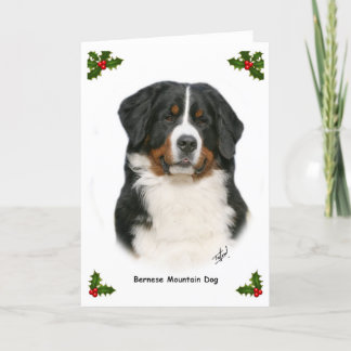 Bernese 9Y348D-094 Holiday Card