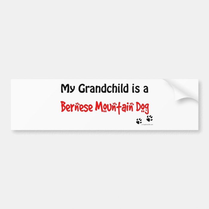 Bernese Grandchild Bumper Sticker