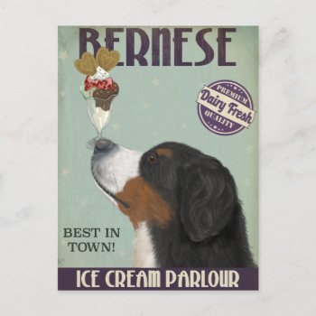 Bernese Ice Cream Postcard by worldartgroup at Zazzle