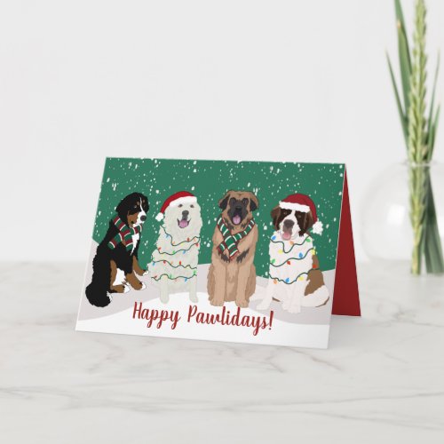 Bernese Leonberger Great Pyrenees Christmas  Card