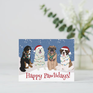 Bernese Leonberger Great Pyrenees Postcard