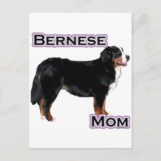 Bernese Mom 4 Postcard