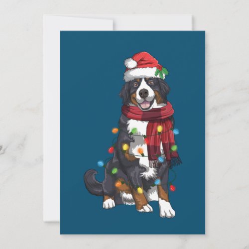 Bernese Mountain Christmas Light Funny Dog Lover Invitation